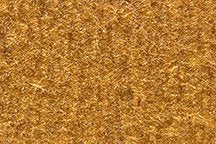 Auto Custom Carpets Replacement Auto Carpet Floor Liner - Molded Cutpile - fits 1974-1979 Ford Ranchero Automatic (Chamoise)
