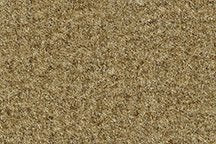 Replacement Auto Carpet Floor Liner - Molded Cutpile - fits 1975-1979 Ford F-150 Regular Cab 4WD Automatic 4 Speed (Gold)